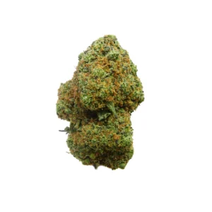 Tropicana