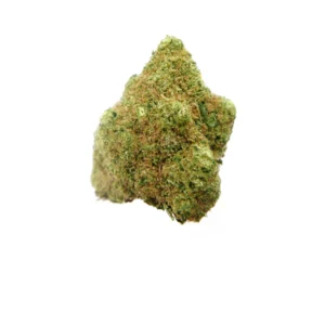 Guava